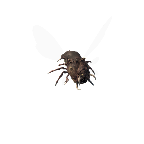 Flying Bug Skin1